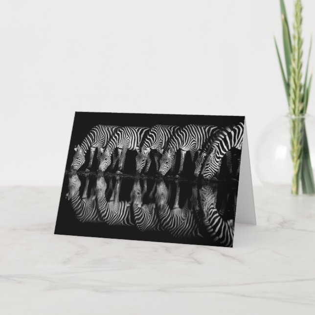 Group of Plains Zebra Drink Together at Night Card (Front)