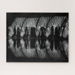 Group of Plains Zebra Drink Together at Night Jigsaw Puzzle<br><div class="desc">Africa,  East Africa,  Kenya,  Great Rift Valley,  Olkirimatian Conservancy,  plains zebra,  Equus quagga.  A group of plains zebra drink together at night.  B & W</div>