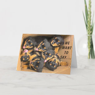 GROUP OF PUPS SAY **HAPPY BIRTHDAY** CARD