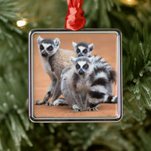 Group of Ring-Tailed Lemurs Metal Tree Decoration