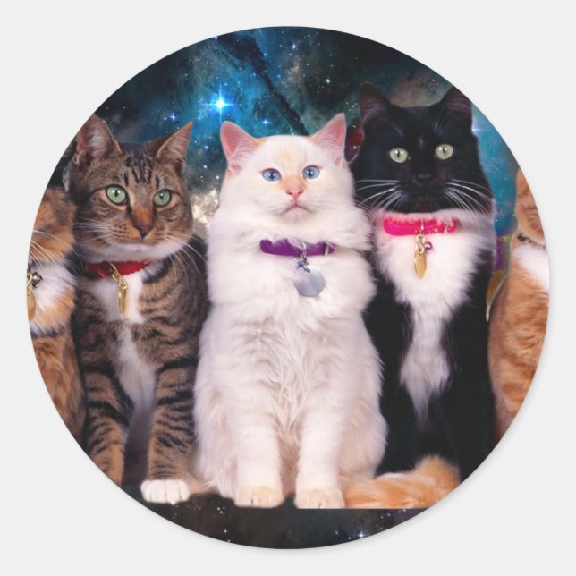 Group of sitting cats in the space classic round sticker (Front)