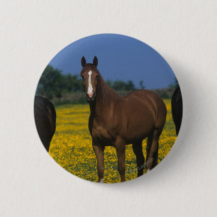 Group of Thoroughbred Horses 6 Cm Round Badge