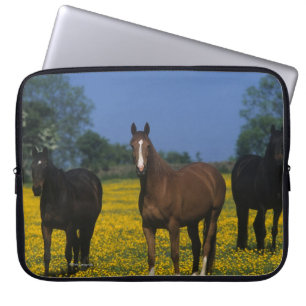 Group of Thoroughbred Horses Laptop Sleeve