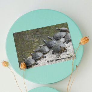Group of Turtles Photo Funny Birthday Card