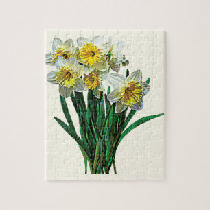 Group of White Daffodils Jigsaw Puzzle