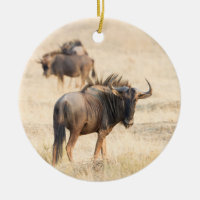 Group of wildebeest