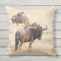 Group of wildebeest