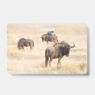 Group of wildebeest ID badge