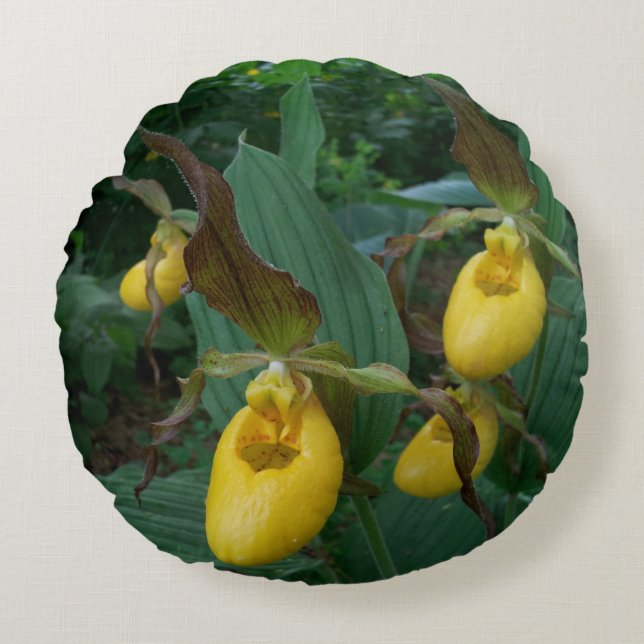 Group Of Yellow Lady's Slipper Orchid Flowers Round Cushion (Front)