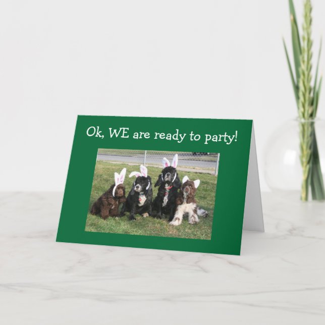 GROUP READY TO PARTY-ARE YOU 40th Card (Front)