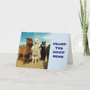 GROUP SAYS **RETIREMENT-YOU'RE FREE ENJOY** CARD