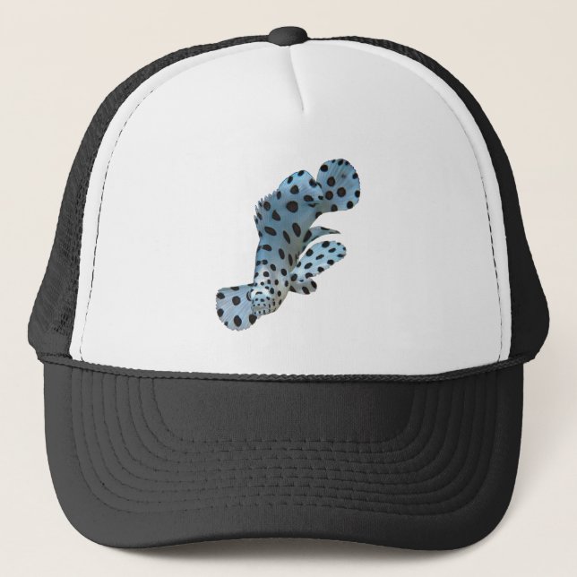 Grouper - Abstract Design - Cut out of a photo |  Trucker Hat (Front)