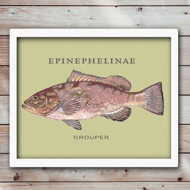 Grouper Fish Illustration Poster (Creator Uploaded)