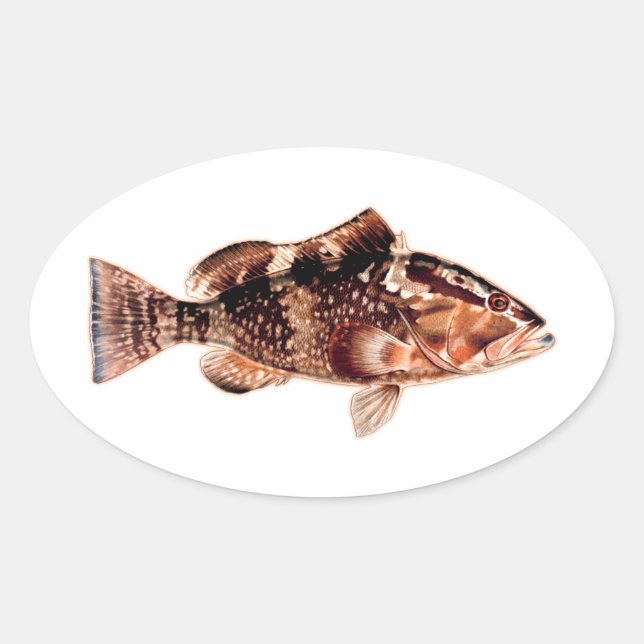 Grouper Fish Oval Sticker (Front)