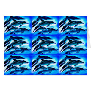 Groups of dolphins
