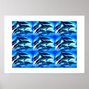 Groups of dolphins poster