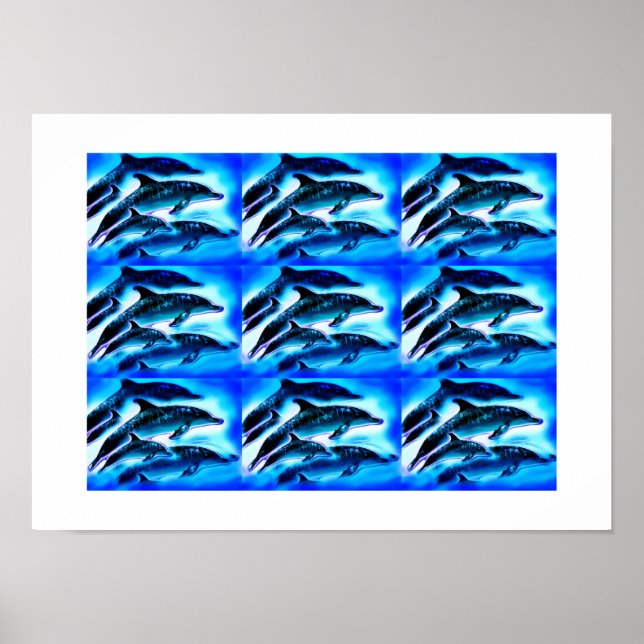 Groups of dolphins poster (Front)