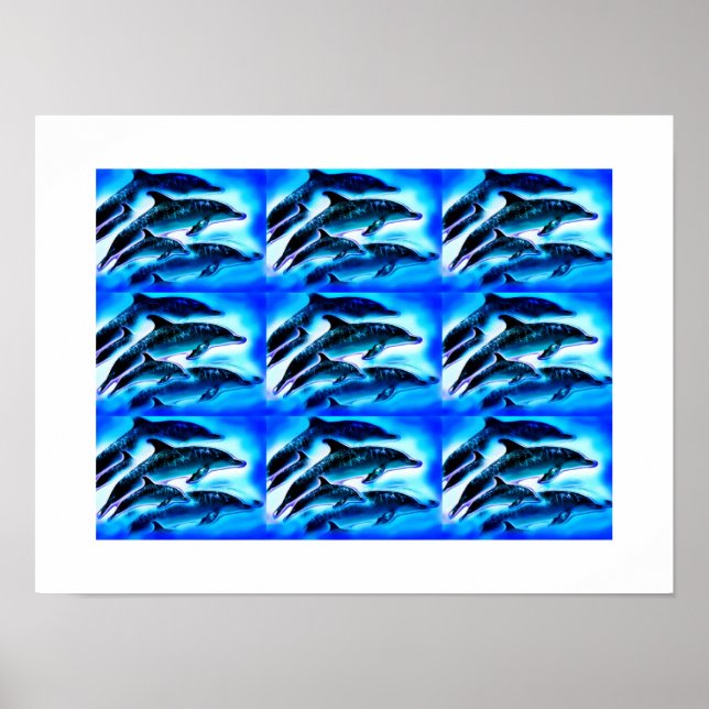 Groups of dolphins poster (Front)