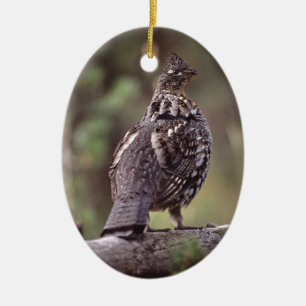 grouse ceramic tree decoration