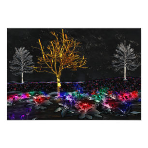 Grove of Living Gems Photo Print