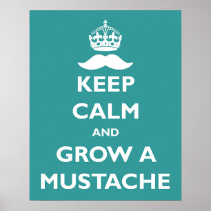 Grow a Moustache Poster