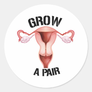 Grow a pair of ovaries classic round sticker
