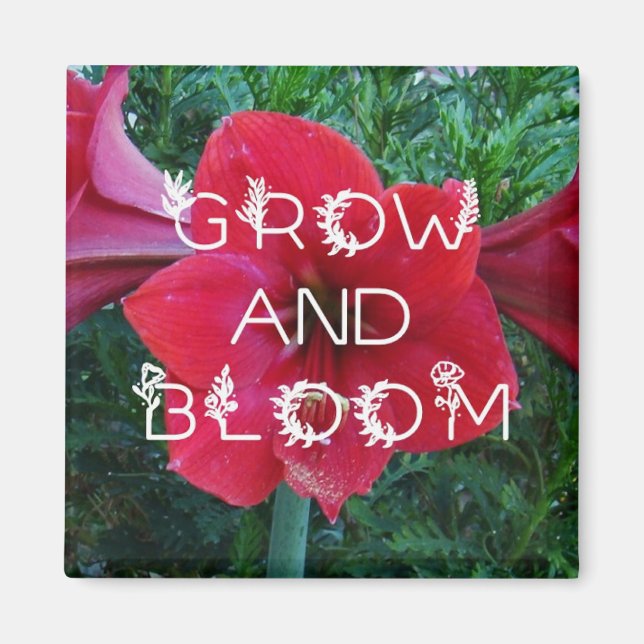 "Grow and Bloom" Magnets (Front)