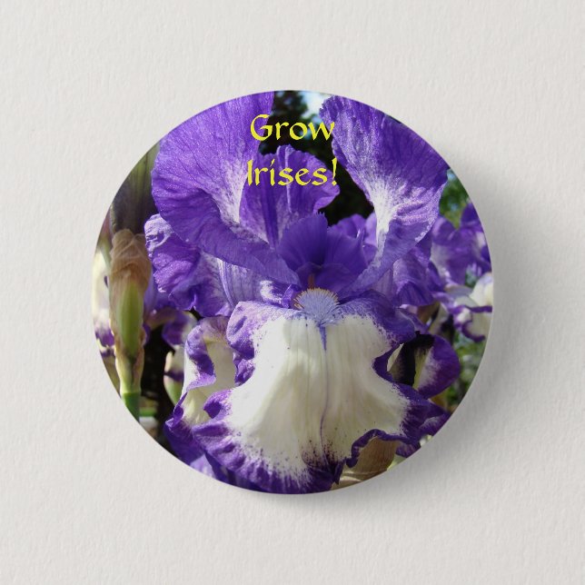 Grow Irises! Button Purple Iris Flower buttons (Front)