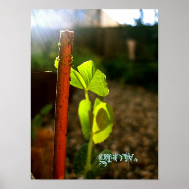 grow. poster (Front)