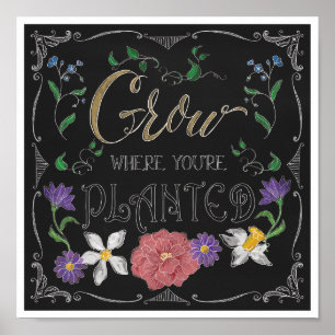Grow Where You are Planted, Inspirational Decor