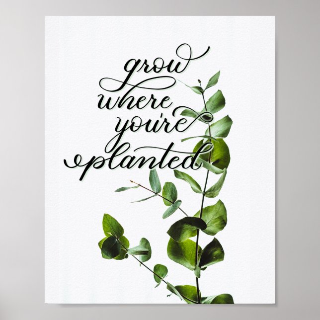 "Grow Where You're Planted" Inspirational Quote Poster (Front)