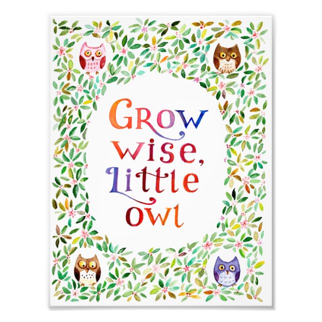 Grow wise little owl  Watercolor painting Photo Print (Front)