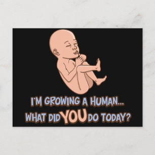 Growing A Human Maternity Postcard