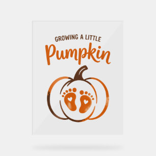 Growing a Little Pumpkin Funny Fall Acrylic Sign