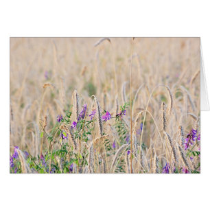 Growing Grain Card