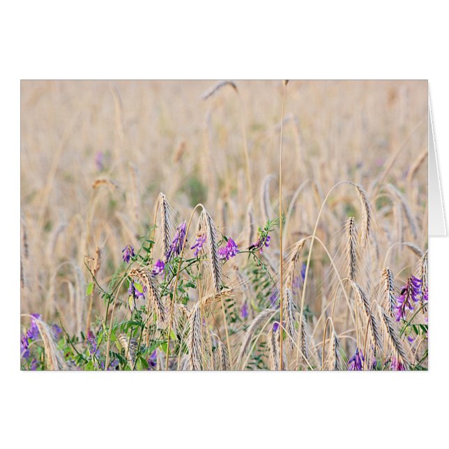 Growing Grain Card (Front Horizontal)