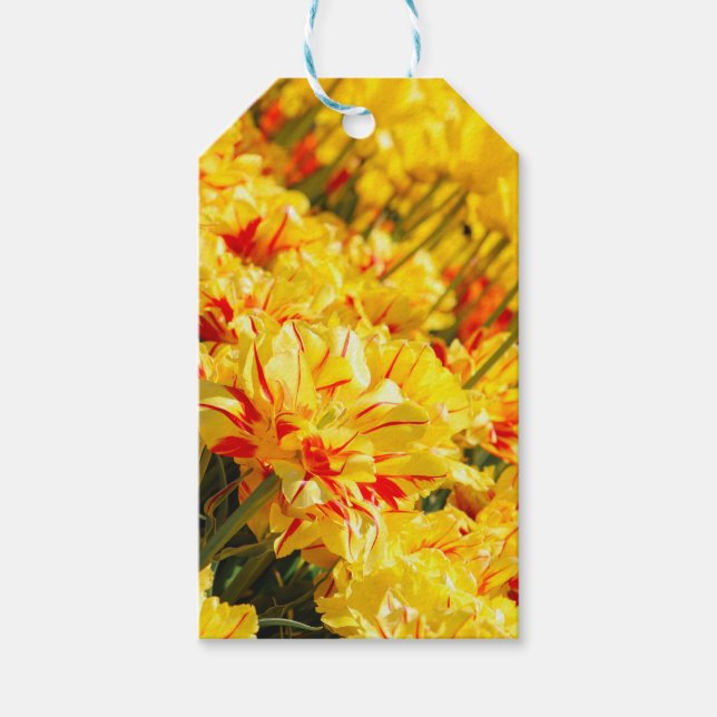 Growing in Gold  Gift Tags (Front)