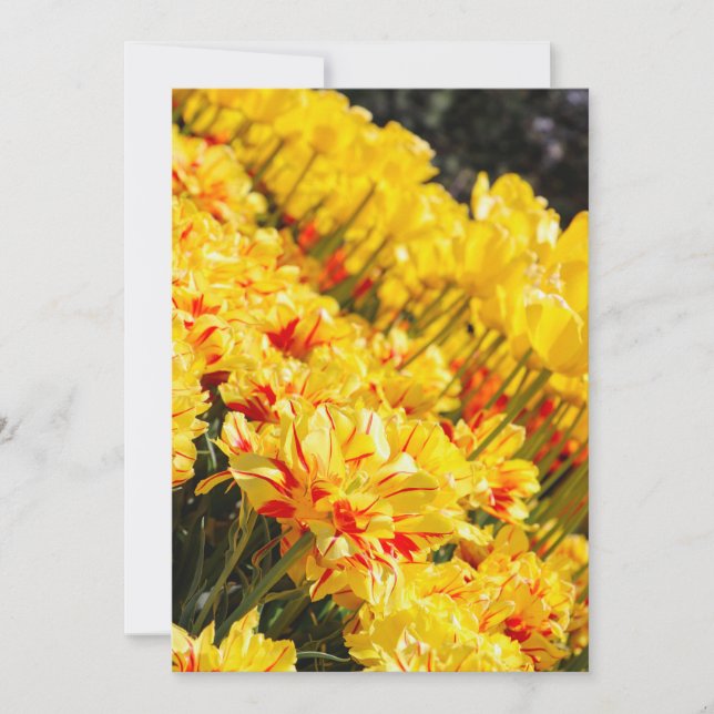 Growing in Gold  Invitation (Front)