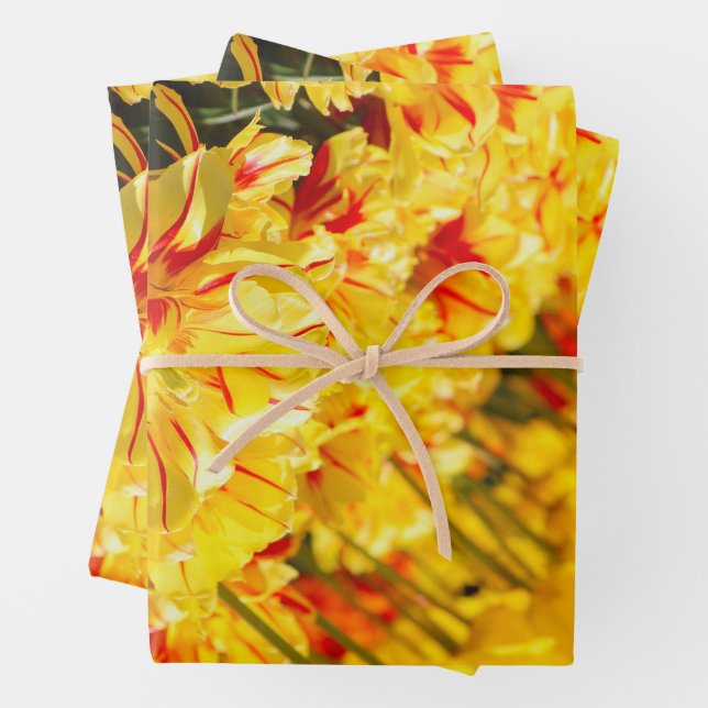 Growing in Gold  Wrapping Paper Sheet (In situ)