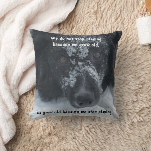 Growing Old Inspirational Quote Border Collie Cushion
