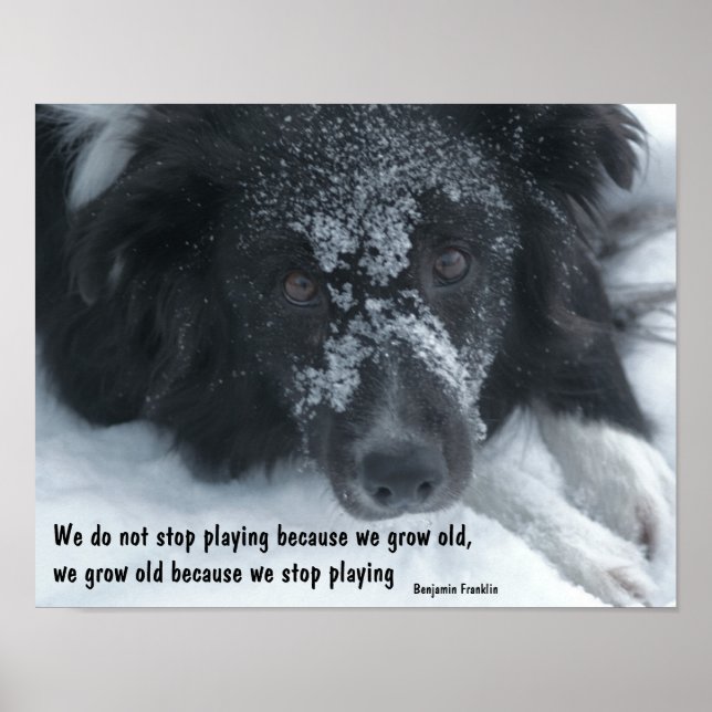 Growing Old Inspirational Quote Border Collie Poster (Front)
