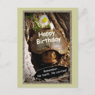 Growing Older Birthday Postcard