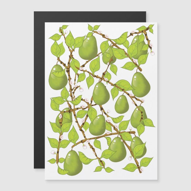 Growing Pears (Front/Back)