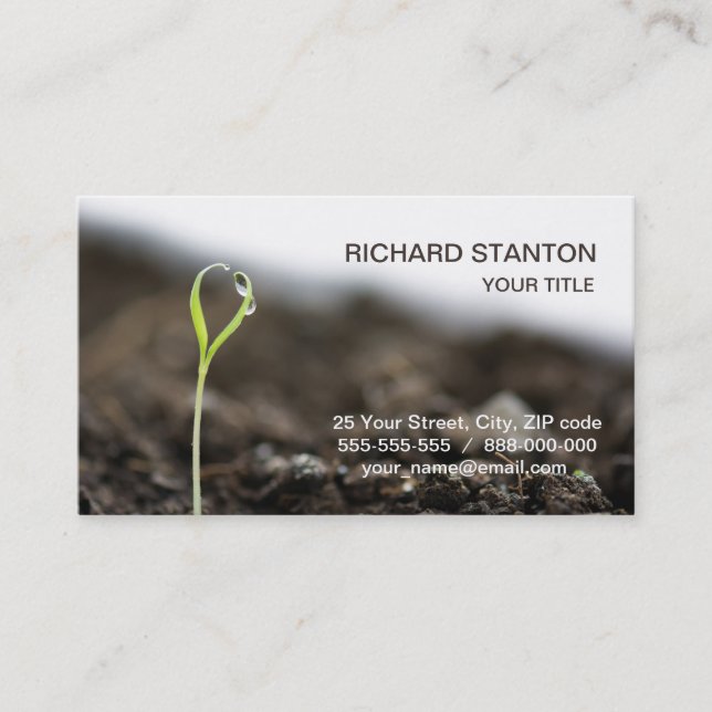Growing sprout business card (Front)