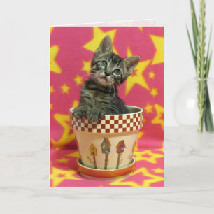 Growing Tabby Birthday Card