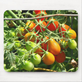 Growing Tomatoes Mouse Pad