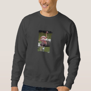 Growing Up Flamingo Sweatshirt