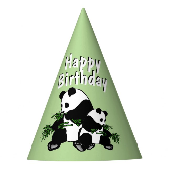 Growing Up Panda Birthday Party Hat (Front)