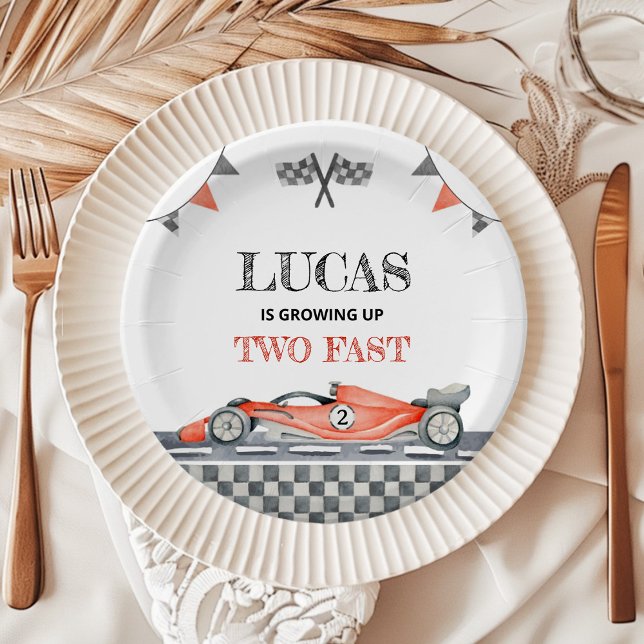 Growing Up Two Fast Birthday Paper Plate (Creator Uploaded)