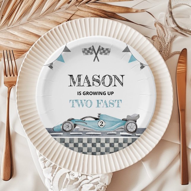 Growing Up Two Fast Birthday Paper Plate (Creator Uploaded)